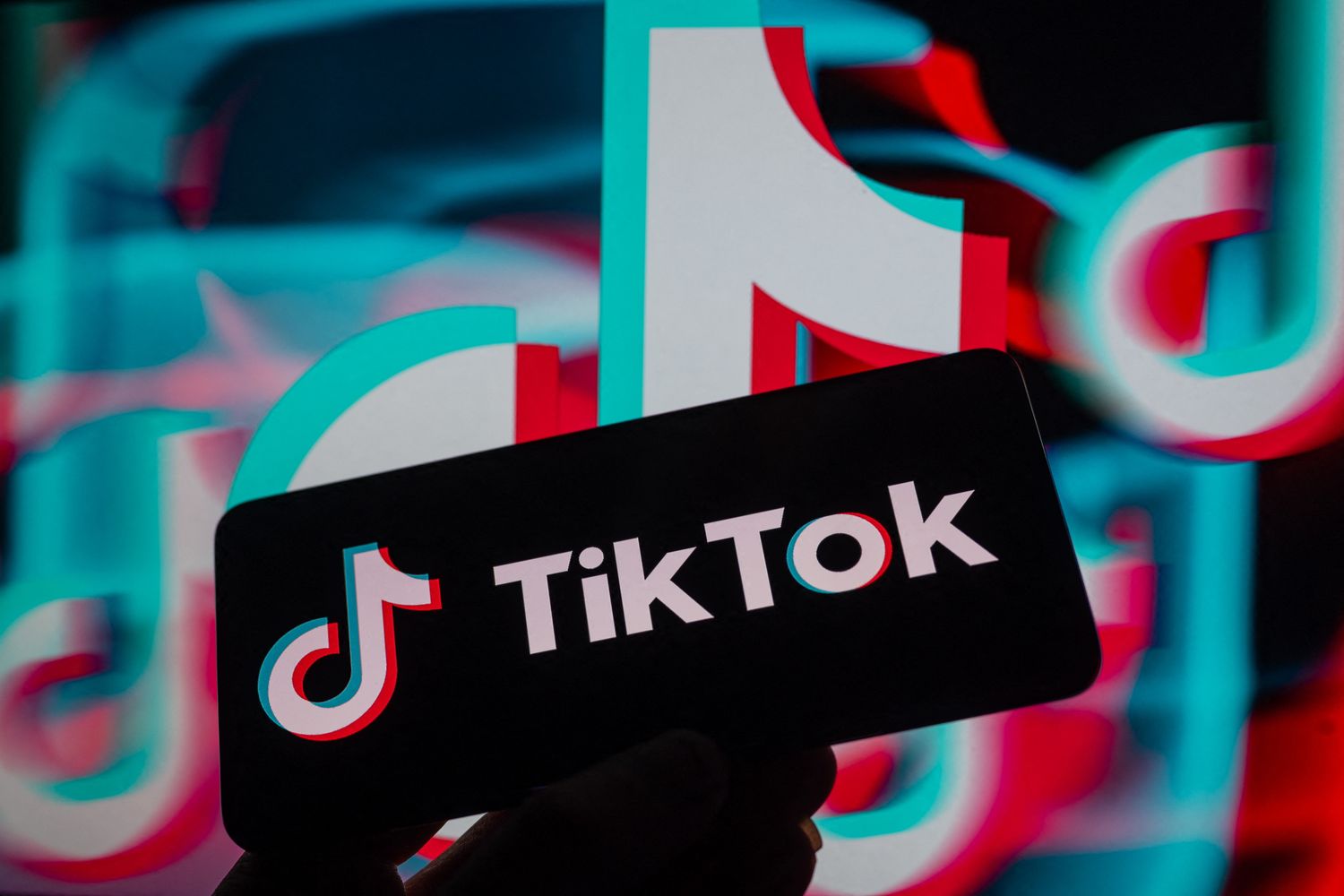 &nbsp;Piattaforma social TikTok