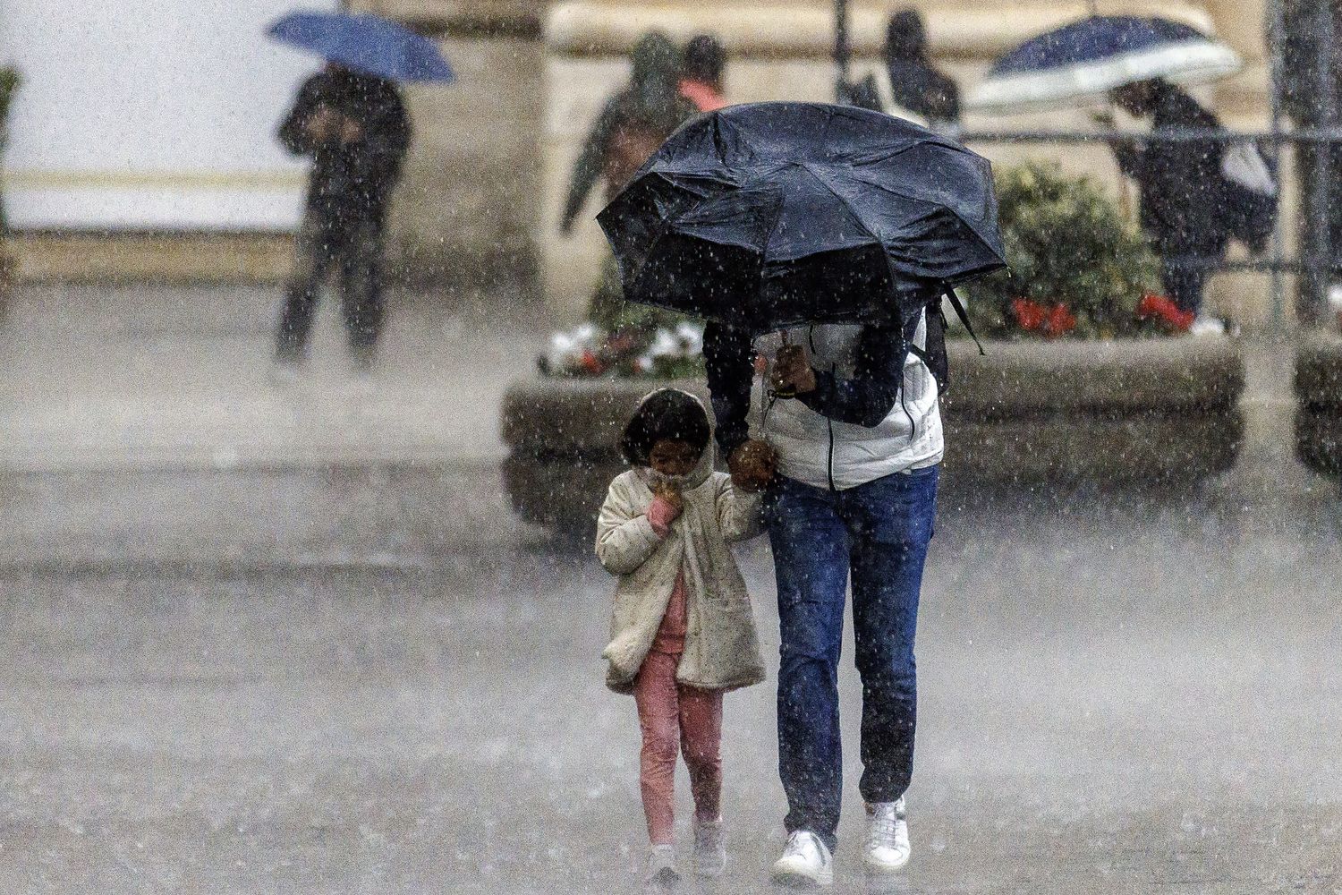 Il maltempo imperversa in Emilia Romagna