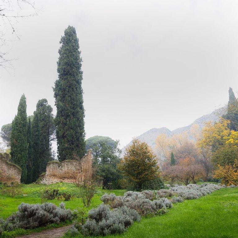 giardino ninfa apertura straordinaria 8 dicembre