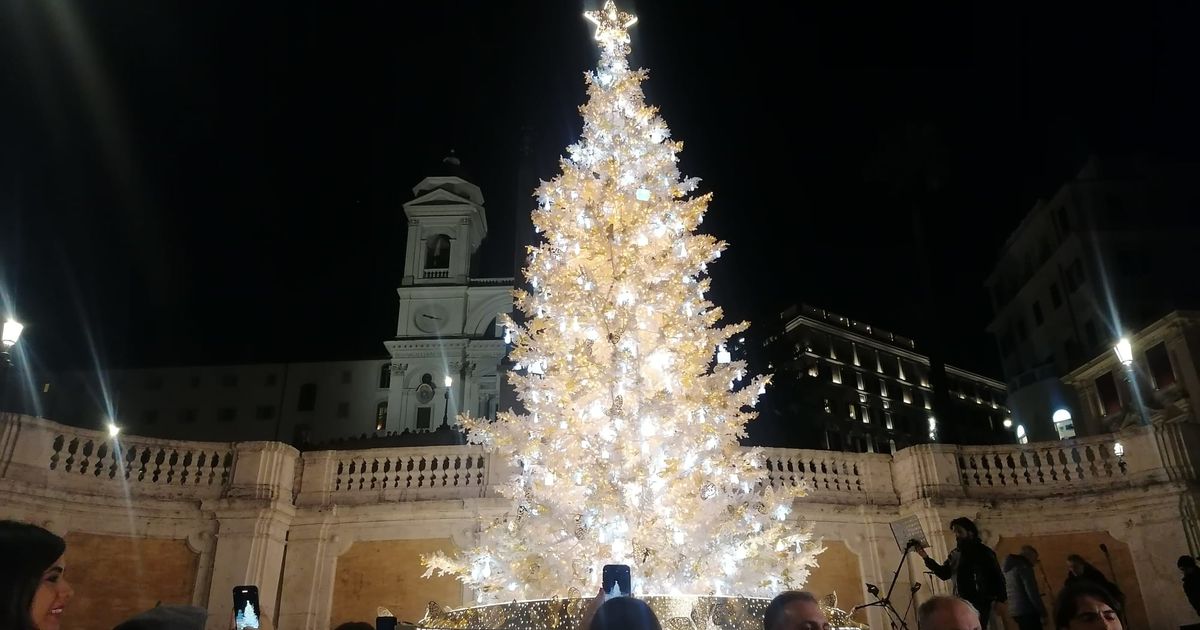 Stupore tra i passanti per l'albero di Natale in piazza di Spagna a Roma