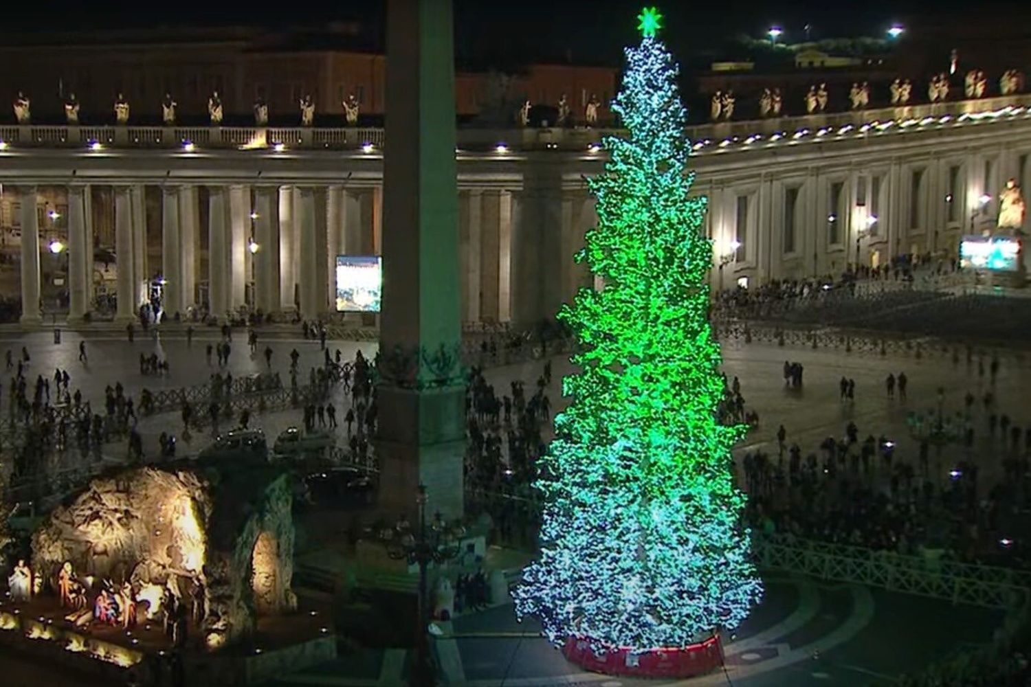 L'albero di Natale a piazza San Pietro