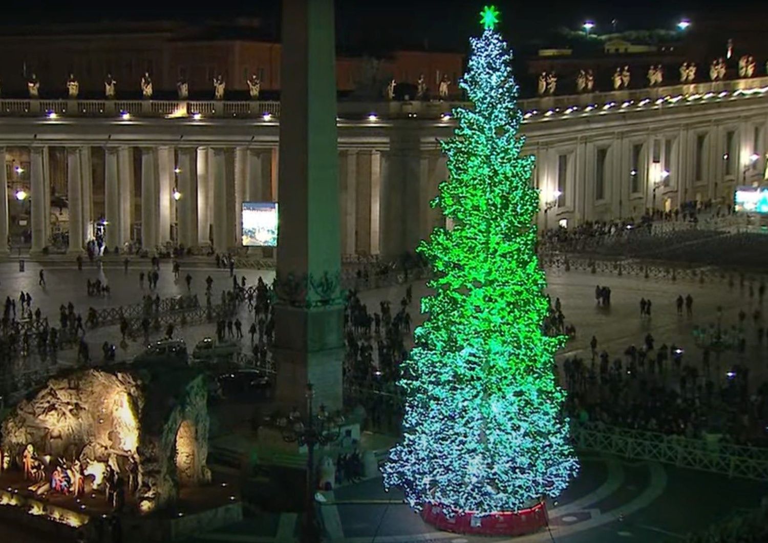 L'albero di Natale a piazza San Pietro