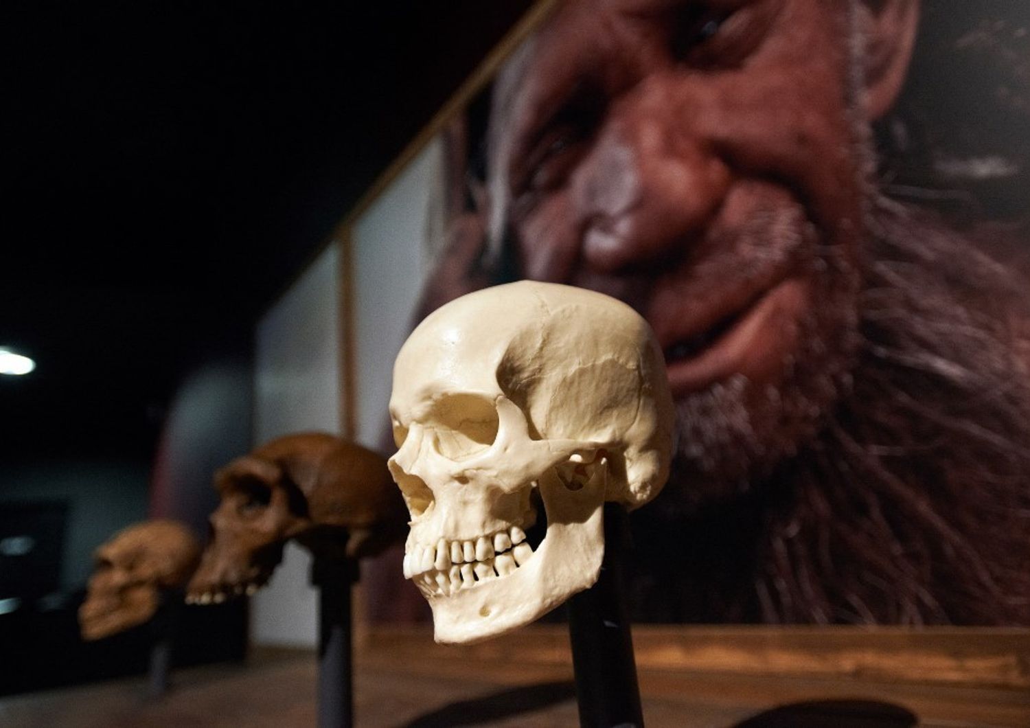 &nbsp;Uomo di&nbsp;Neanderthal