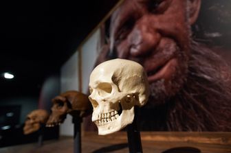 &nbsp;Uomo di&nbsp;Neanderthal