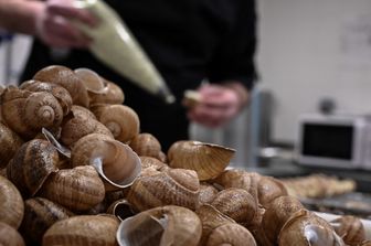 &nbsp;lumache di Borgogna in cucina