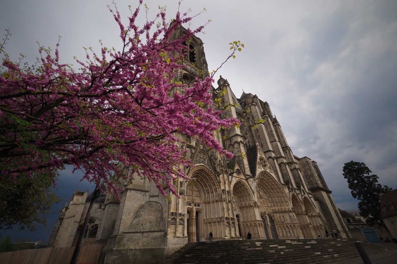 Cattedrale gotica di Bourges