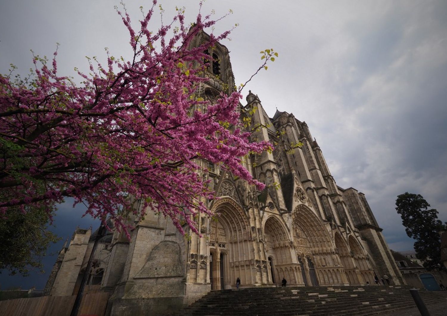 Cattedrale gotica di Bourges