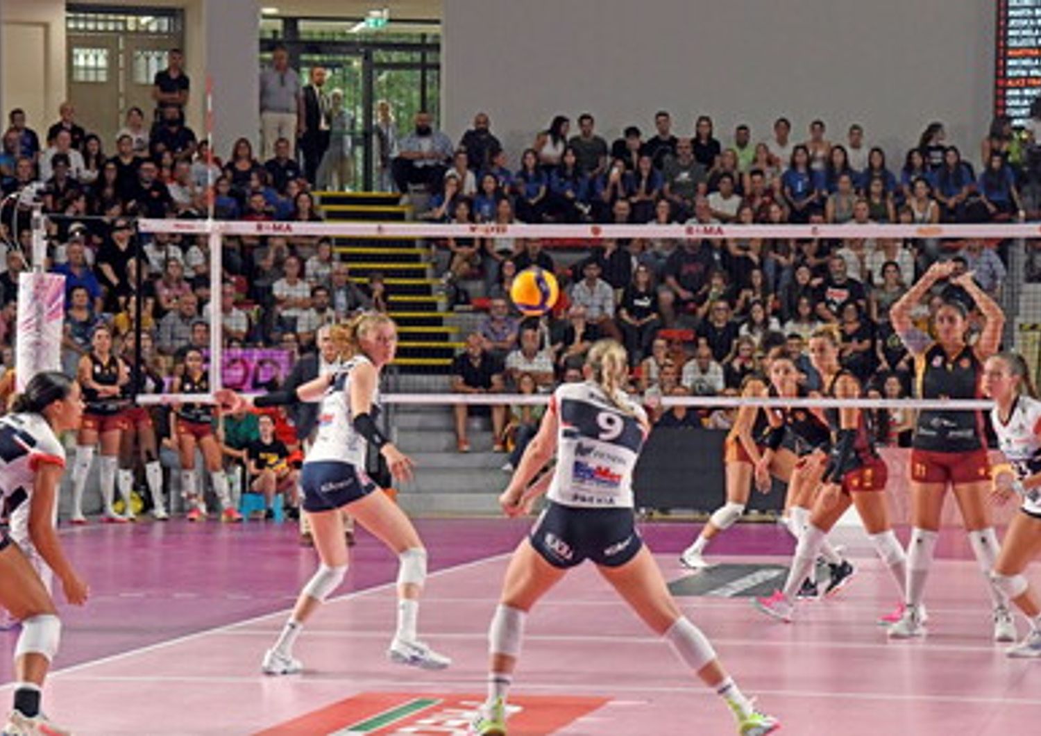 Pallavolo