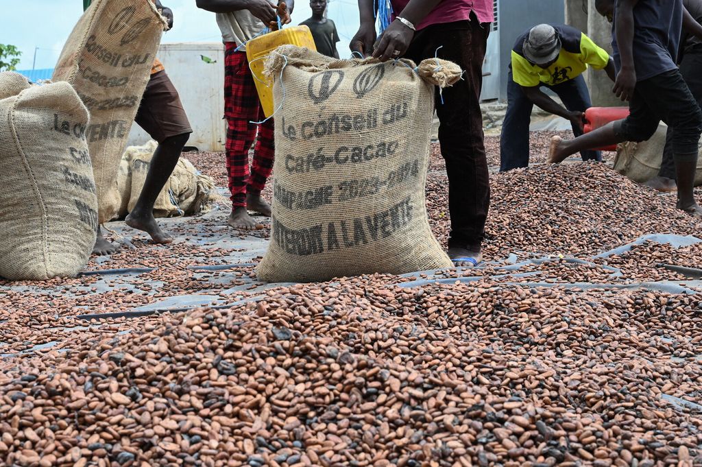 &nbsp;cooperative ivoriane per la produzione del cacao