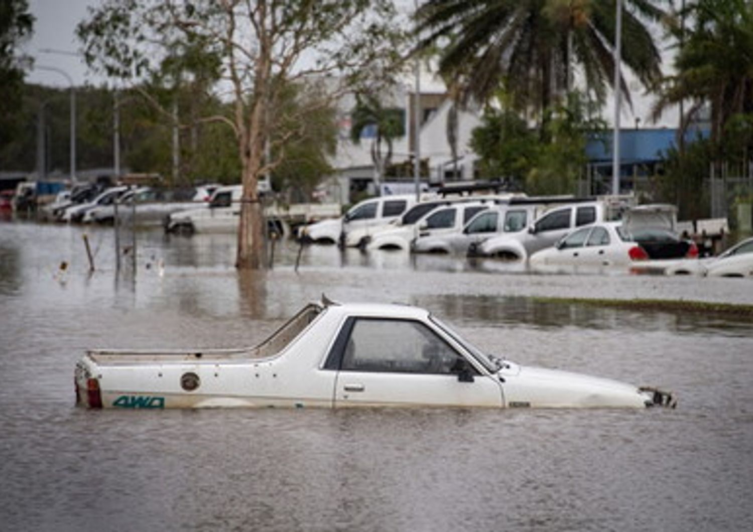 Auto travolte dall'alluvione all'aeroporto di Cairns