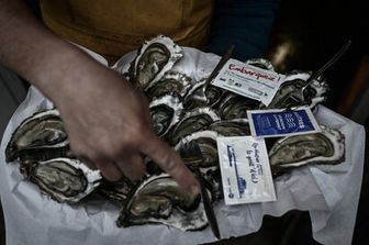 francia bloccata vendita ostriche arcachon intossicazione&nbsp;