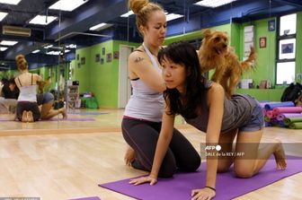 Lezione di 'Puppy Yoga'