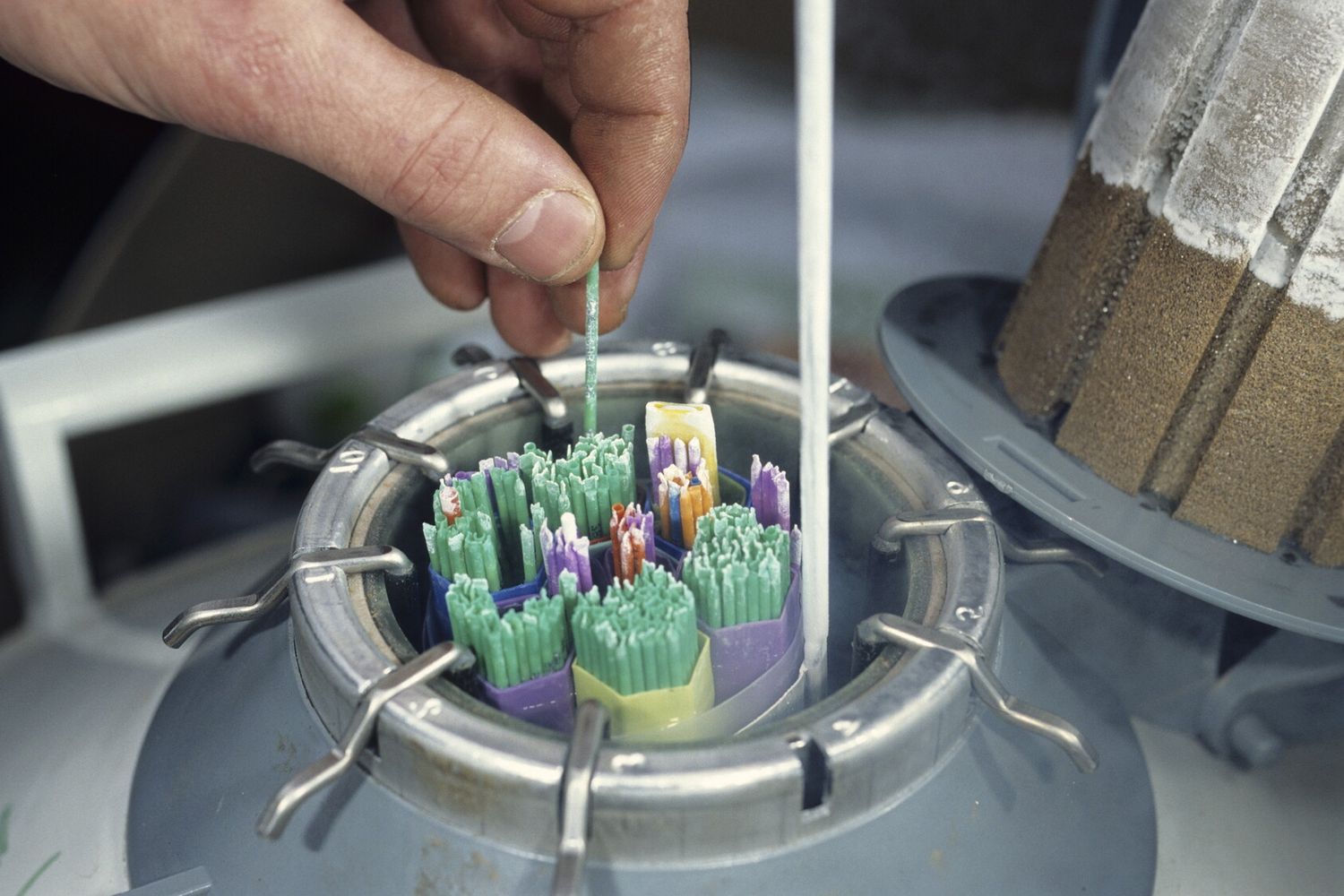 Campioni di sperma conservati per l'inseminazione artificiale&nbsp;