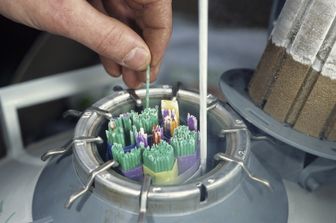 Campioni di sperma conservati per l'inseminazione artificiale&nbsp;