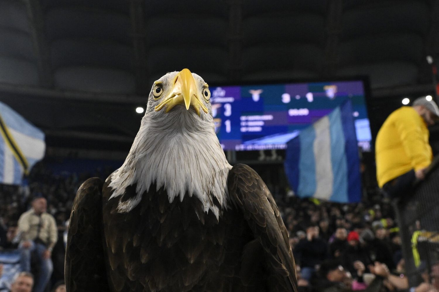L'Aquila simbolo della Lazio&nbsp;