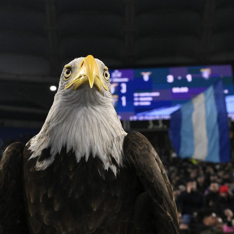 L'Aquila simbolo della Lazio&nbsp;