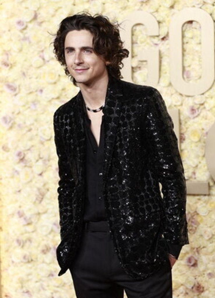 Timothee Chalamet ai Golden Globe Award&nbsp;