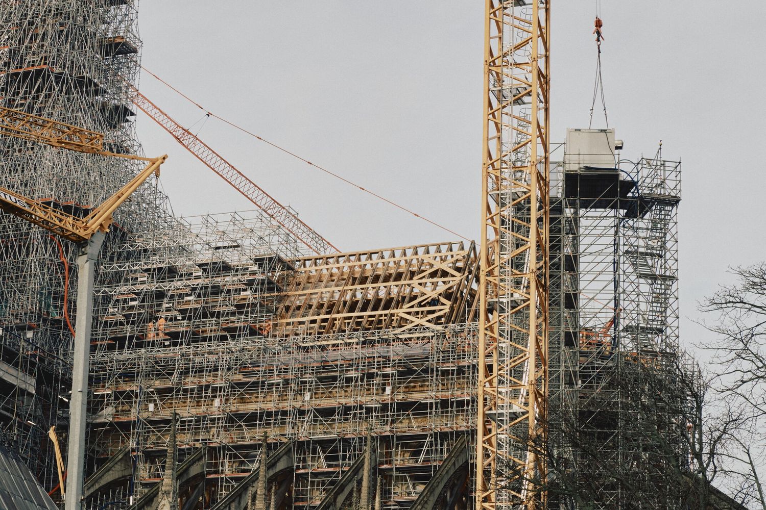 Struttura lignea dell'abside, Notre Dame de Paris