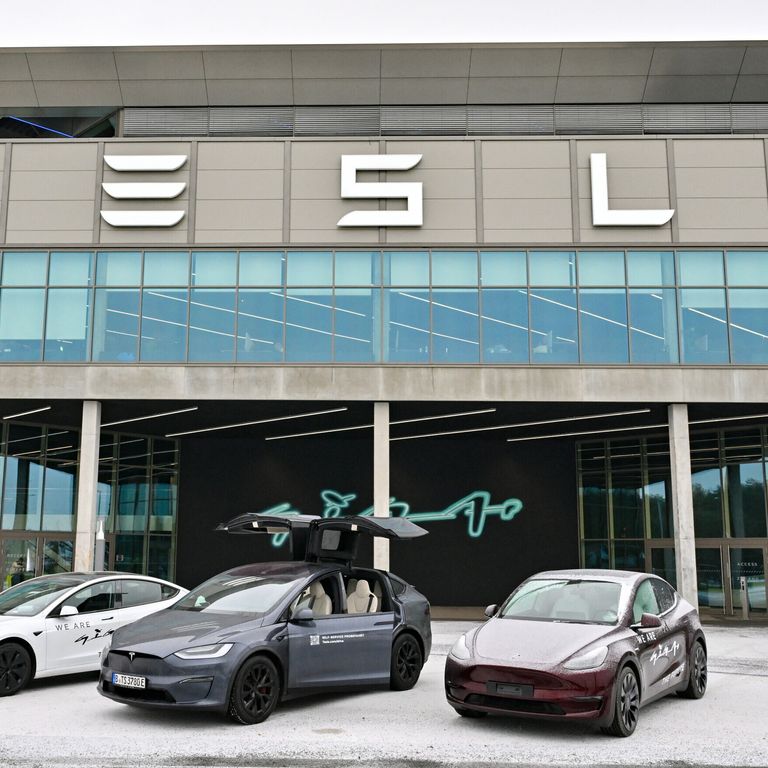 Stabilimento della Tesla in Germania