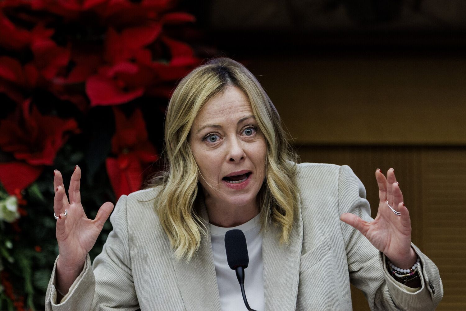 Giorgia Meloni&nbsp;