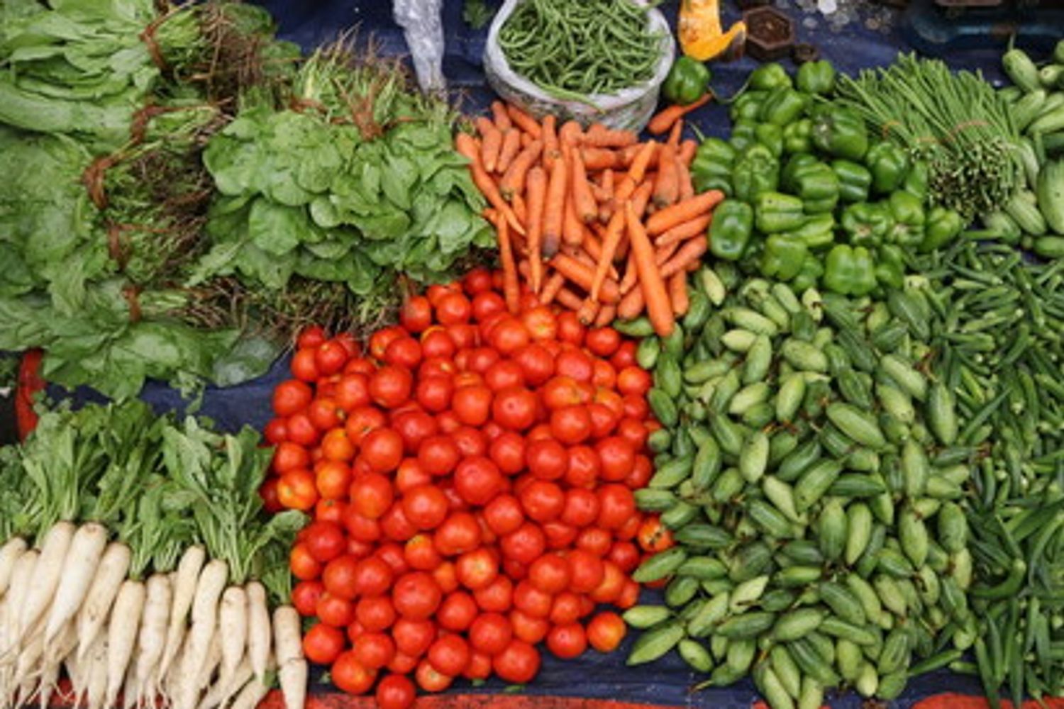 &nbsp;Verdure e cibi sani