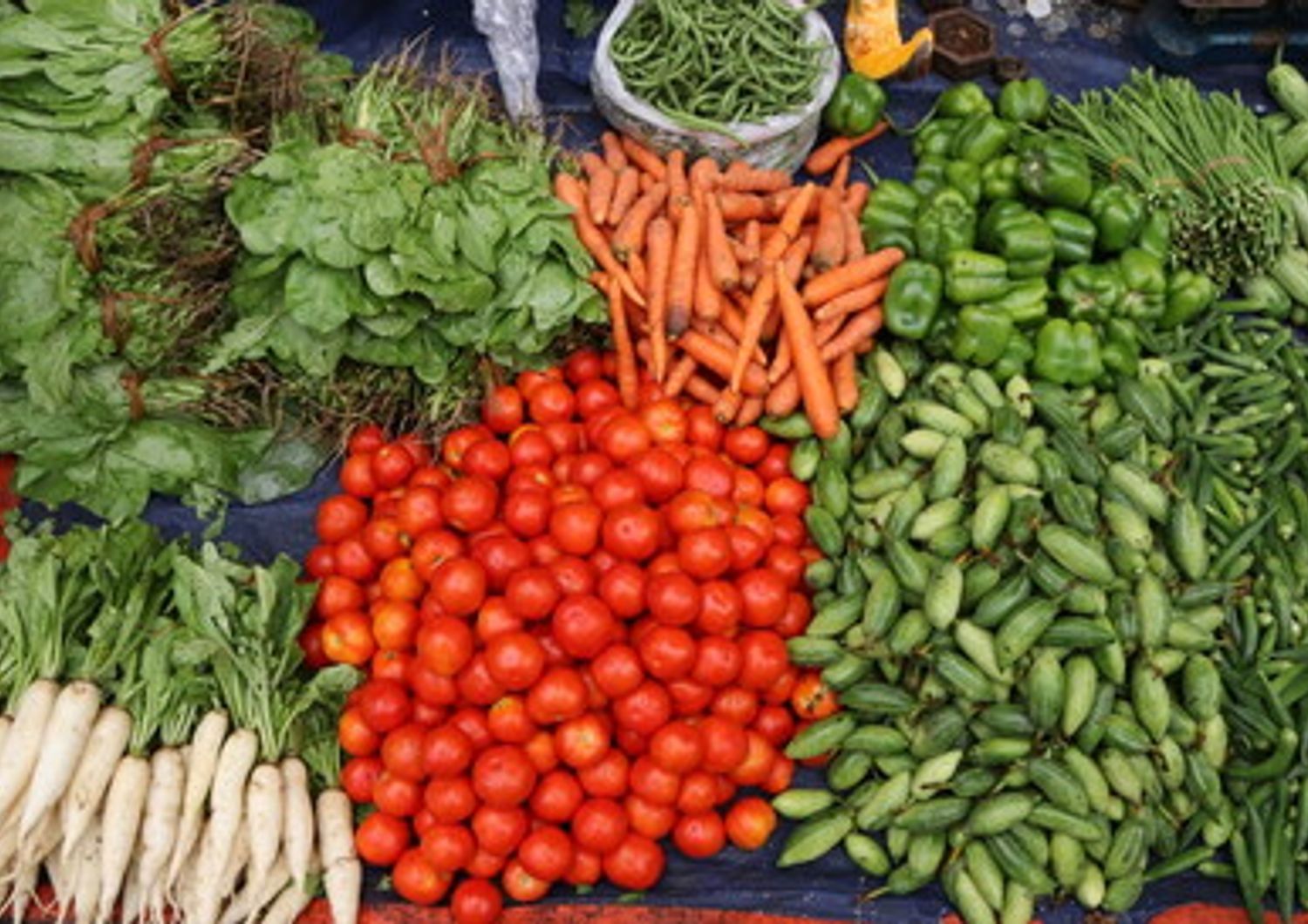 &nbsp;Verdure e cibi sani