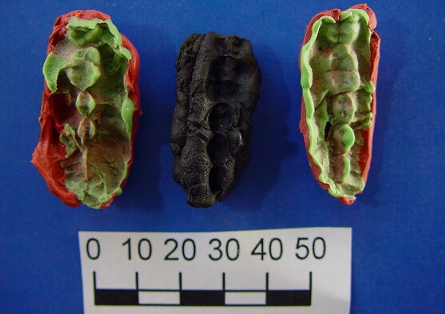 Un calco di uno dei pezzi di pece masticata trovati nel sito di Huseby Klev
