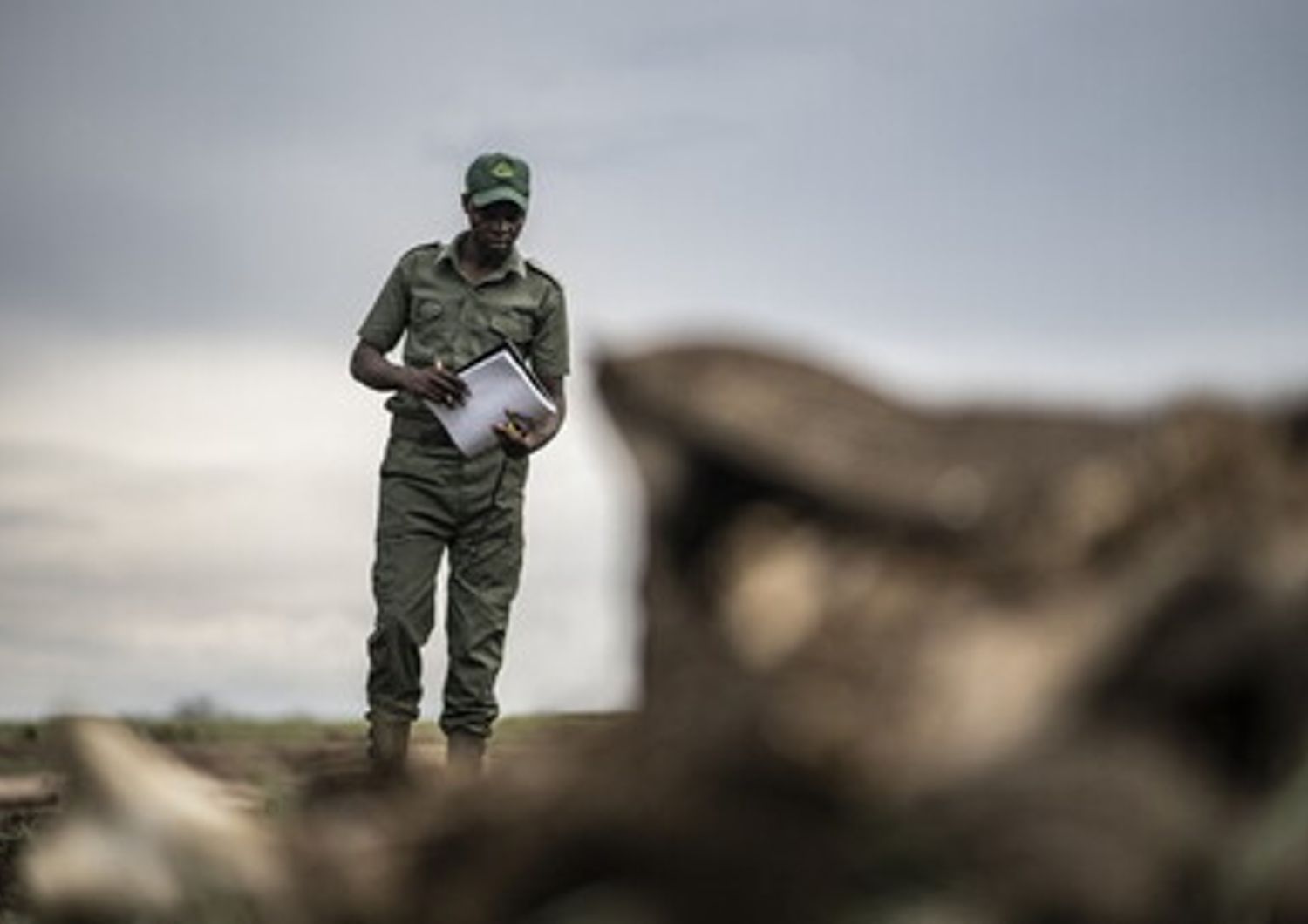 Ranger in Zimbabwe vicino a un elefante morto per siccit&agrave;