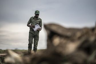 Ranger in Zimbabwe vicino a un elefante morto per siccit&agrave;