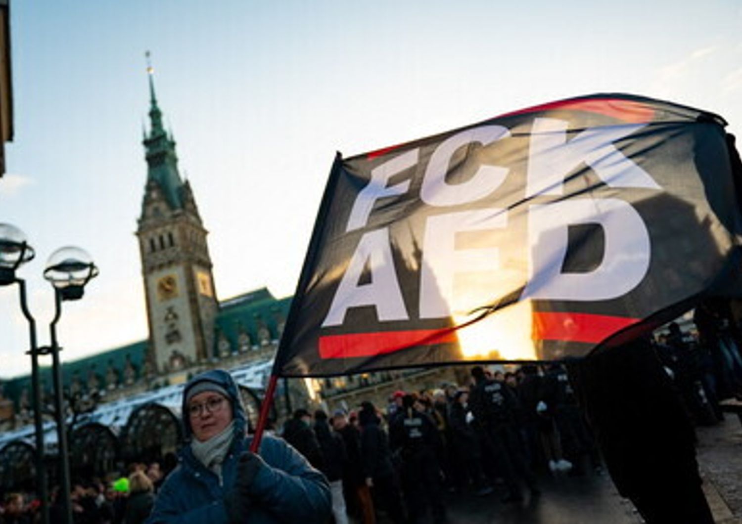 Manifestazioni in Germania contro Afd