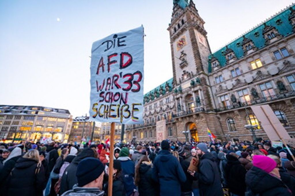 Manifestazioni in Germania contro Afd