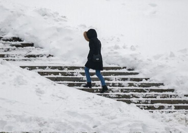 Neve