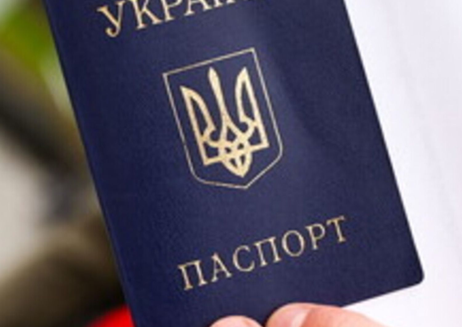 doppia cittadinanza per stranieri combattenti ucraina