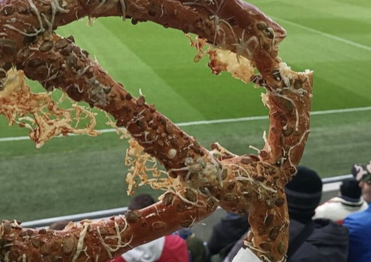 panini cibi peggiori mangiare stadio calcio