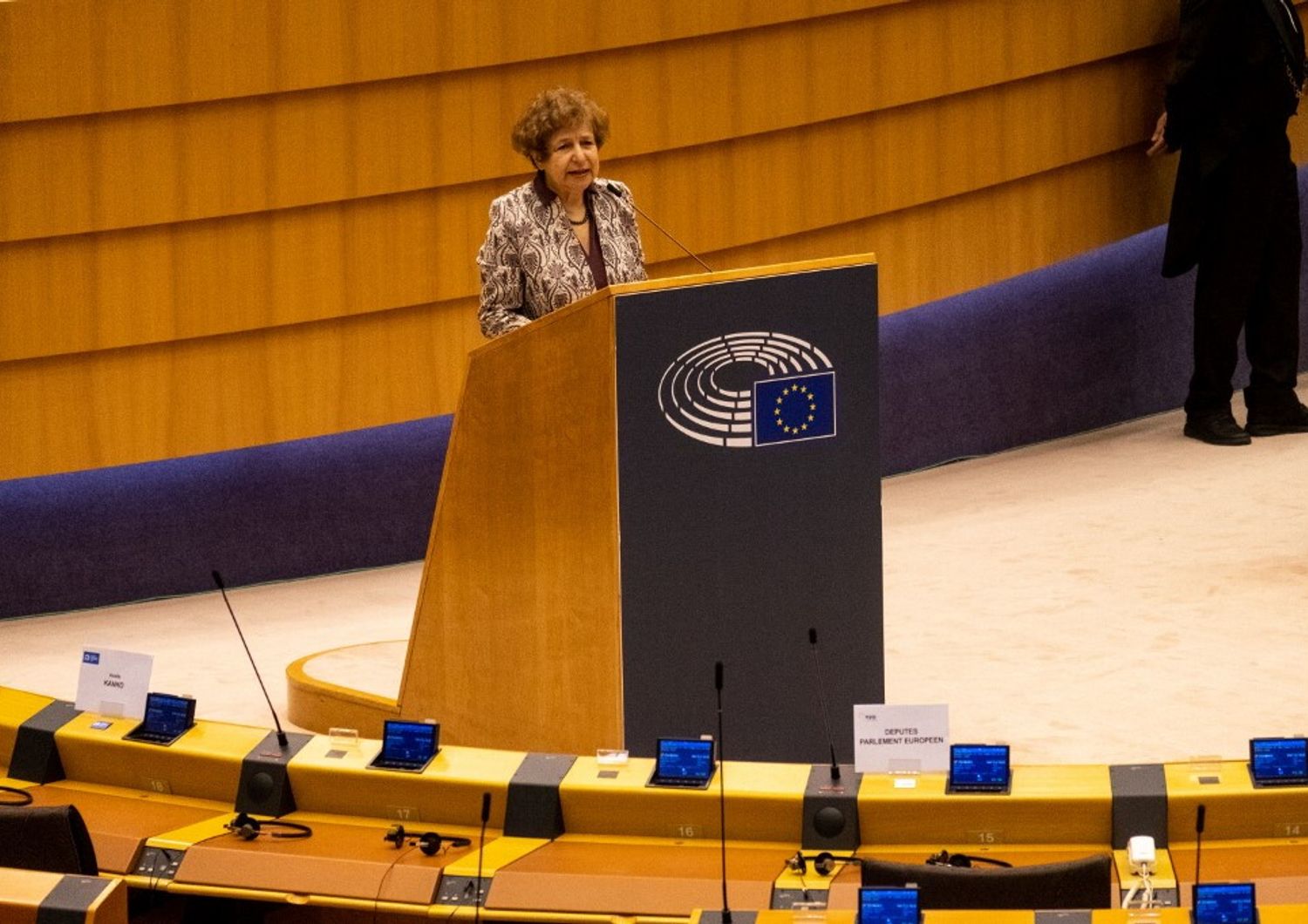 Tatjana Zdanoka intervento in sessione plenaria, Bruxelles 2020