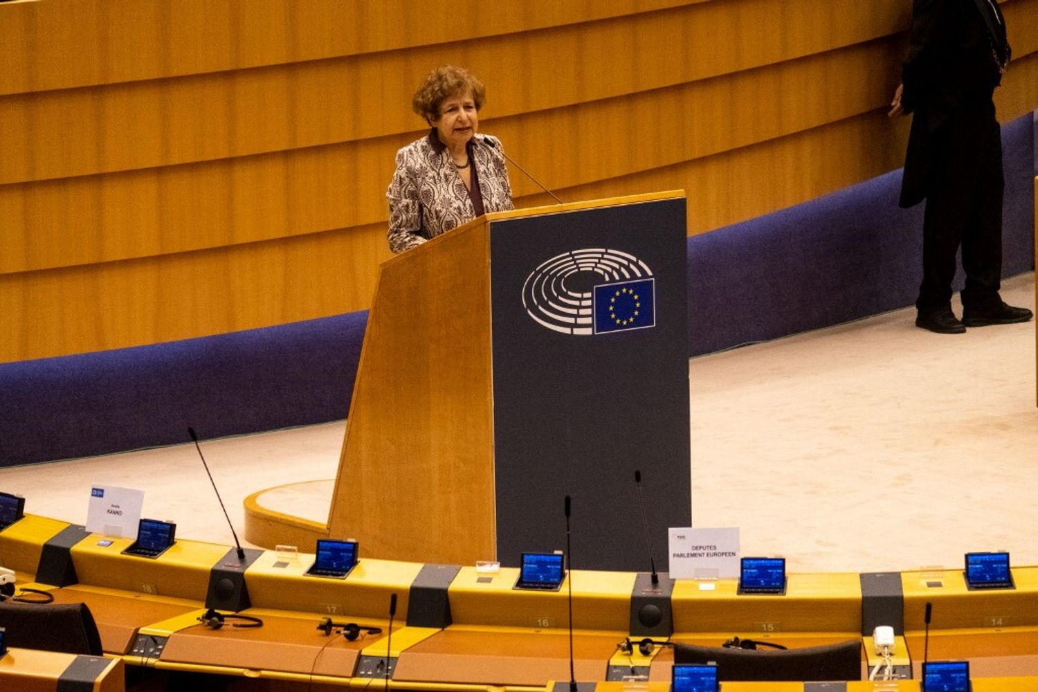 Tatjana Zdanoka intervento in sessione plenaria, Bruxelles 2020