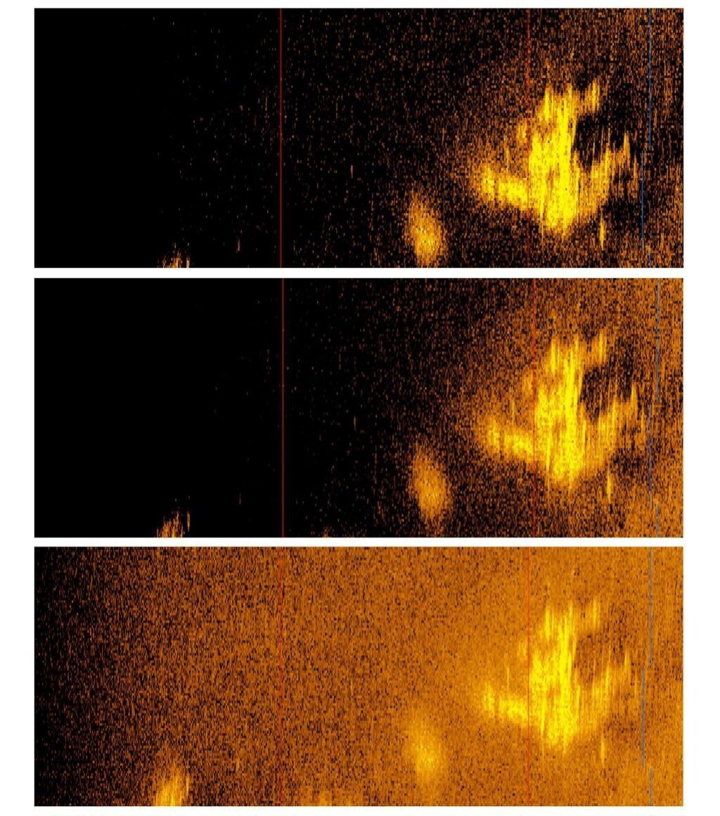 Dalle immagini sfocate nel Pacifico, l'ipotesi che possa trattarsi dell’aereo dell'aviatrice Amelia Earhart