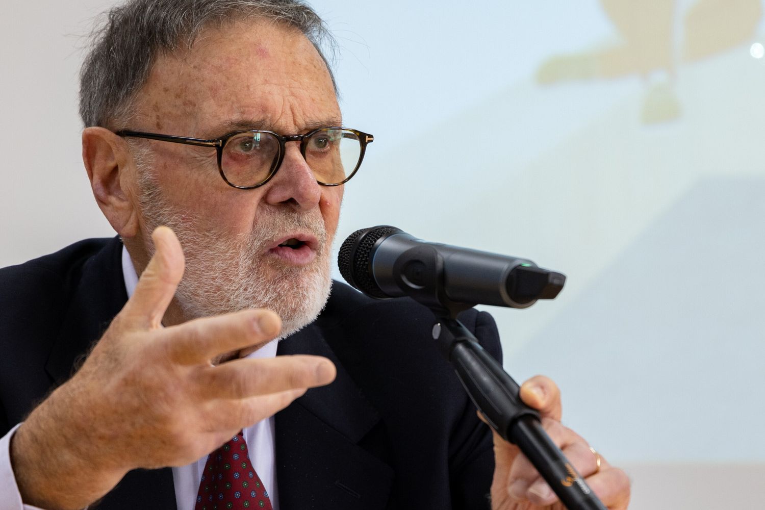 Francesco Maisto, Garante dei detenuti Milano