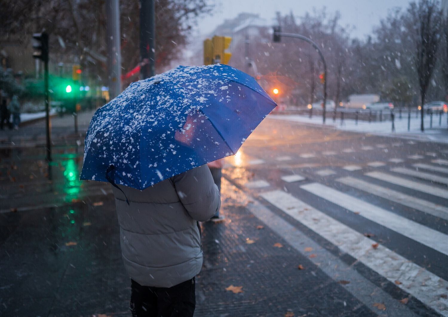 Freddo e neve