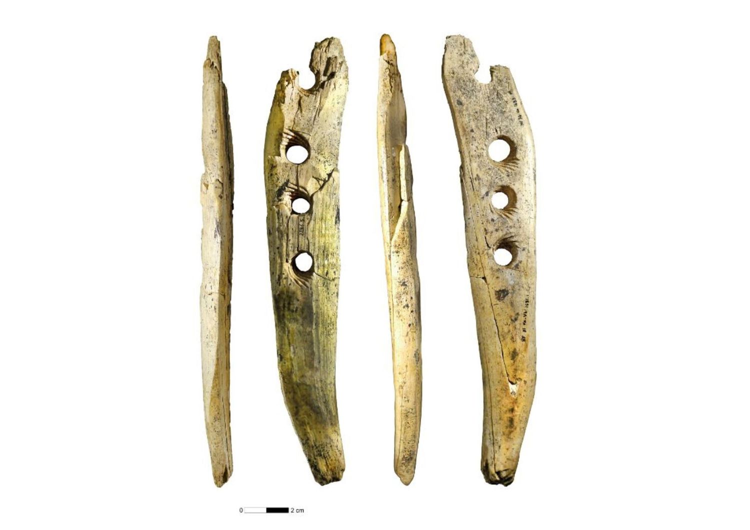 Bacchetta traforata in avorio proveniente dalla grotta di Hohle Fels, nella Germania sudoccidentale, con quattro vedute
