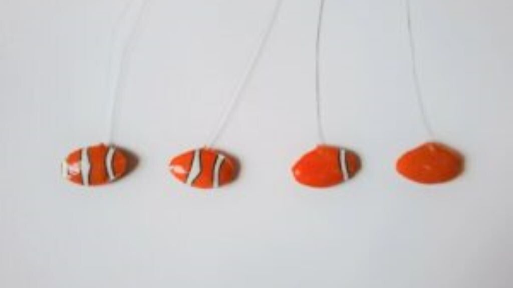 I modelli in plastica utilizzati per misurare il comportamento aggressivo del pesce pagliaccio pagliaccio