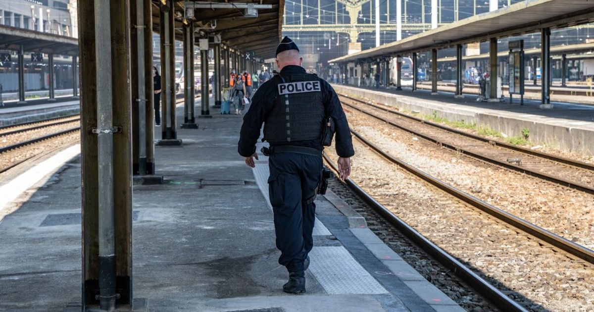 Trois personnes poignardées dans une gare parisienne, un homme souffrant de troubles mentaux interpellé.  Il avait un permis de conduire italien