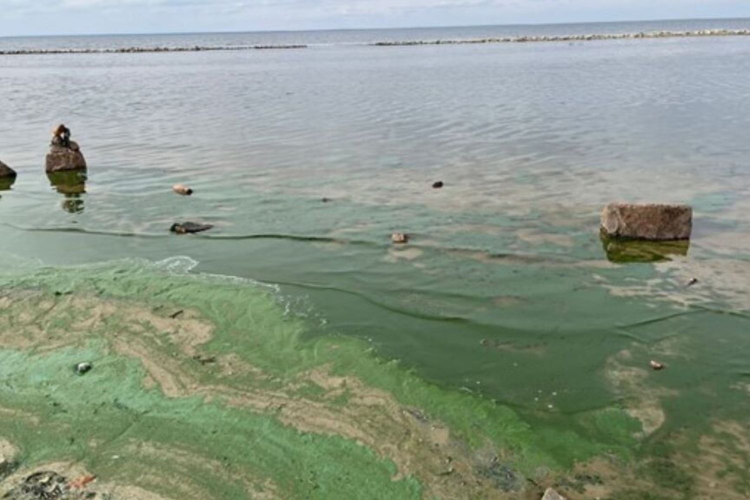 Eutrofizzazione nel bacino idrico di Kiev