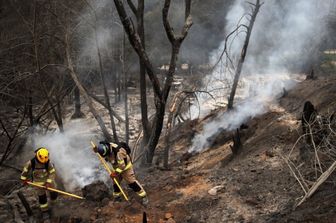 Giardino Botanico in Cile, pompieri in azione