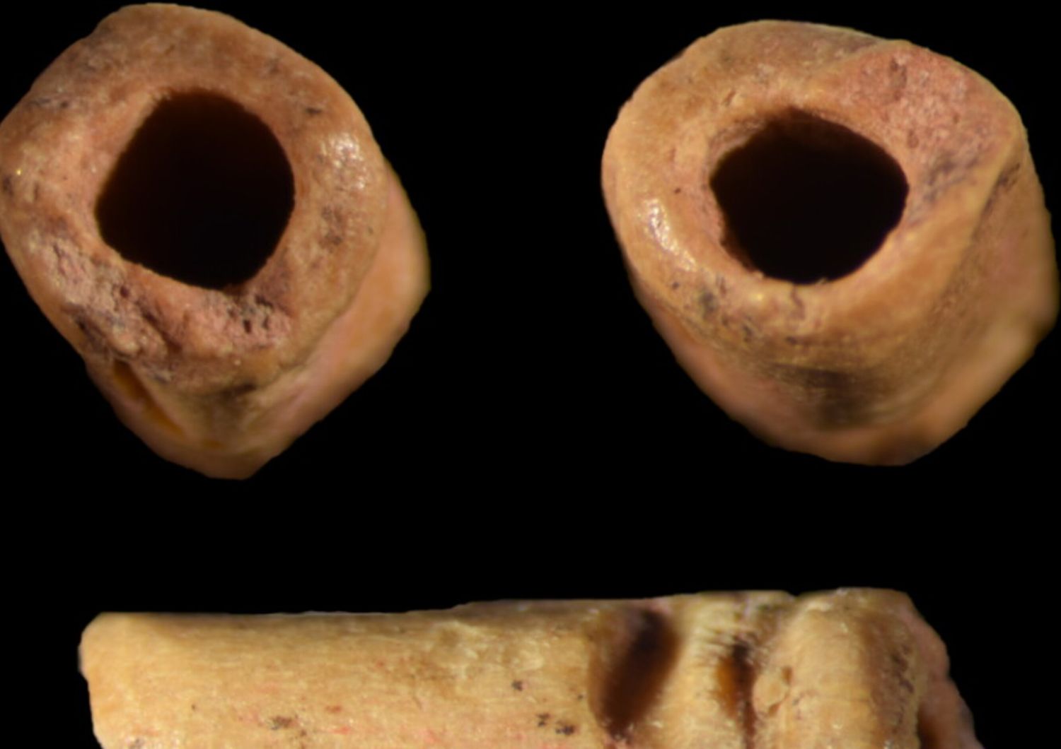 Queste immagini mostrano una perla a forma di tubo fatta di osso che ha circa 12.940 anni