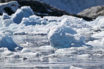 Ghiacciai artici