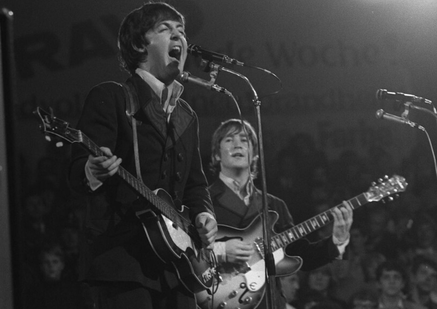 McCartney e il suo basso