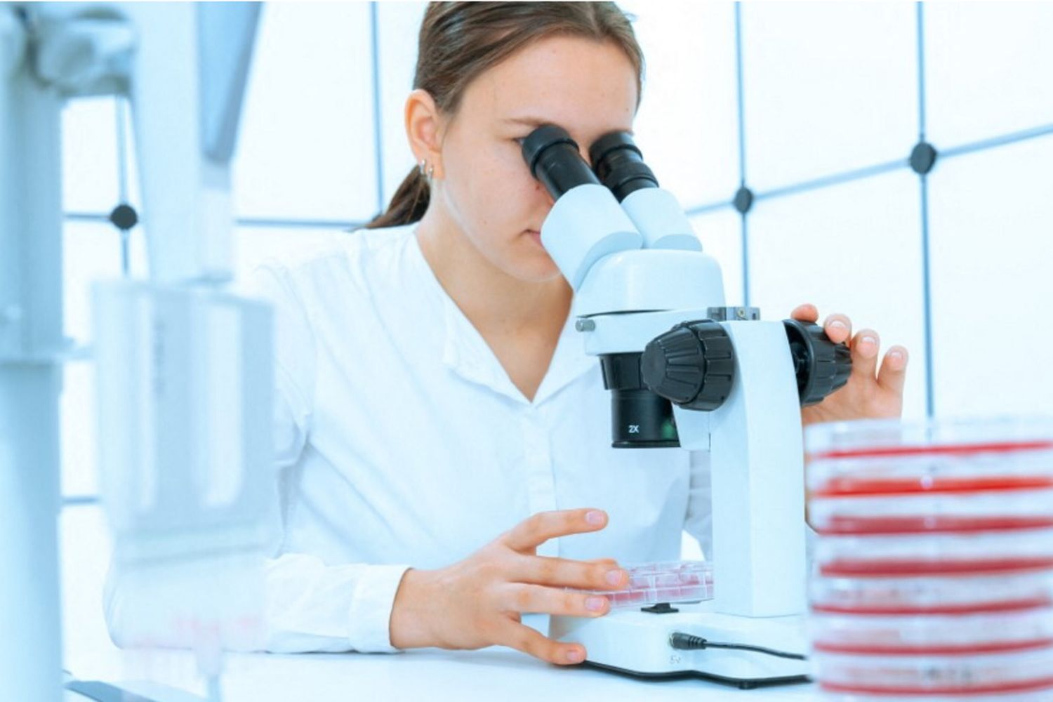 Laboratorio di ricerca