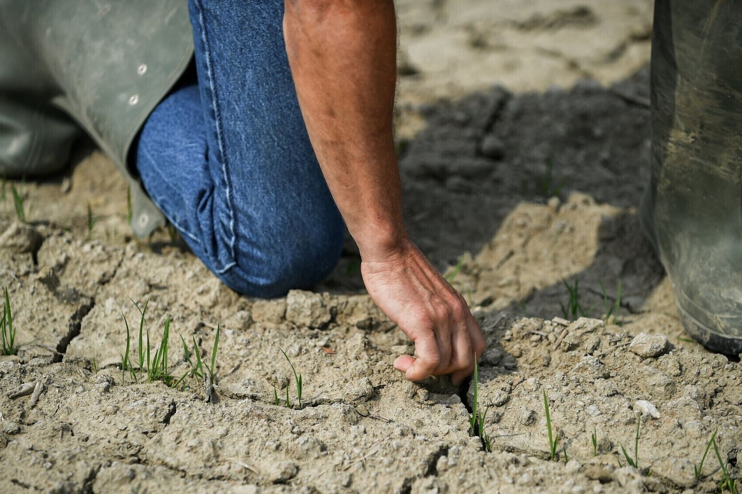 Agricoltura e siccit&agrave;