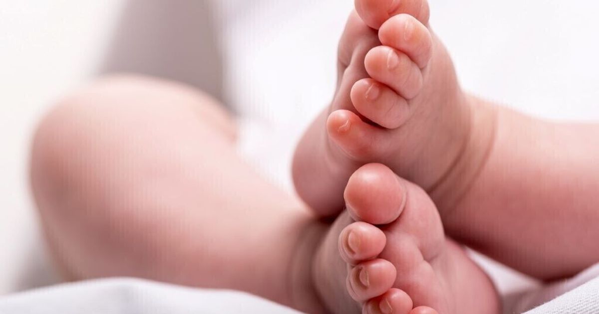 la madre intenzionale può riconoscere il figlio nato da pma